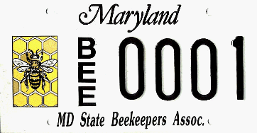 MSBA License Plate