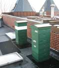 hives on a roof