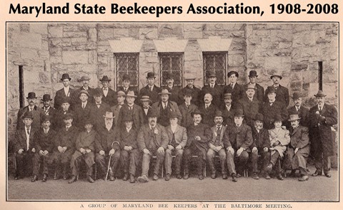 MSBA founders