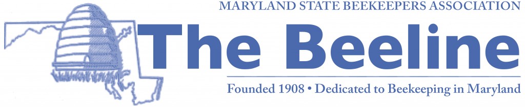 The Beeline, Newsletter of the MSBA