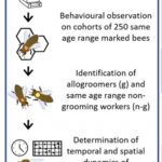 design of experiment