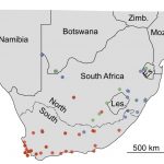 cape honey bee locations