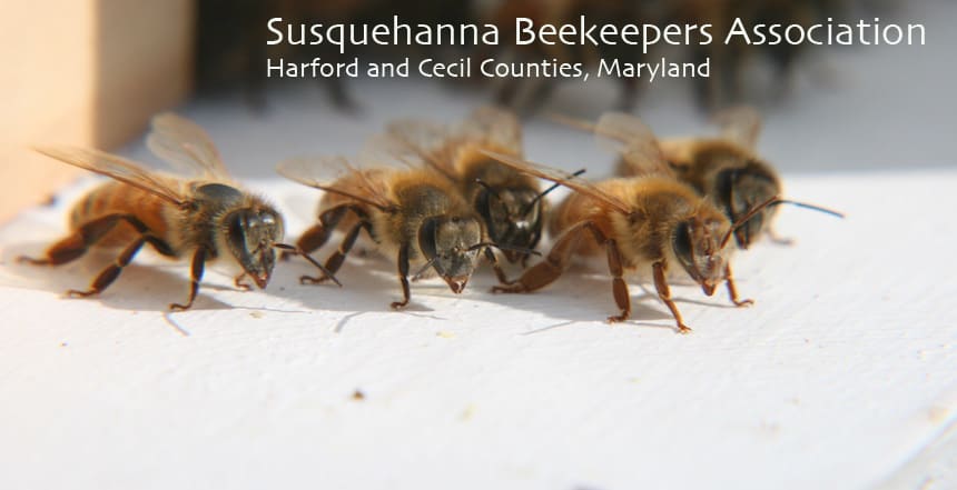 Susquehanna Beekeepers Association offering Intro to Beekeeping Class