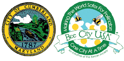 Cumberland and bee city logos