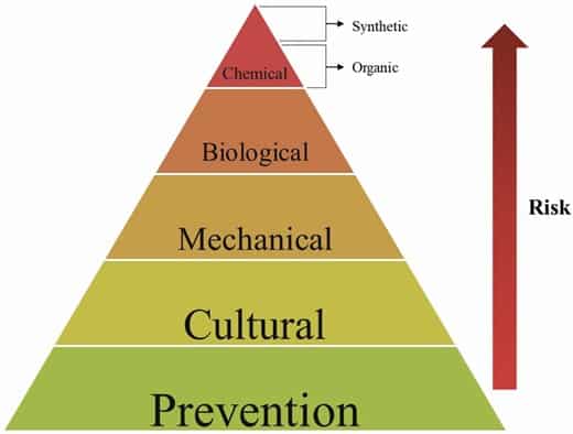 IPM approaches to management