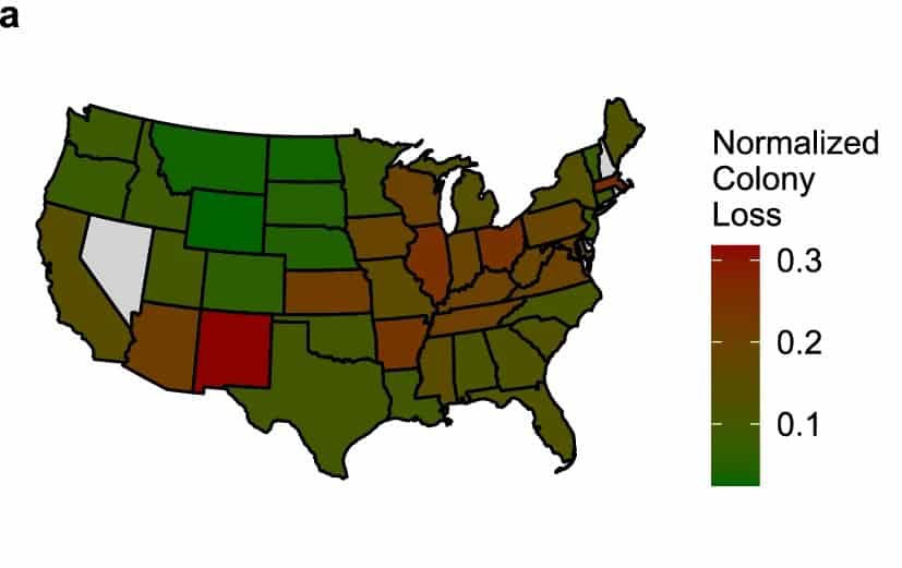 Regional colony loss map