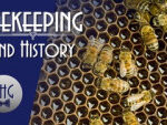 History of Beekeeping on The History Guy Channel