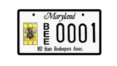 Specialty LIcense Plate for MSBA