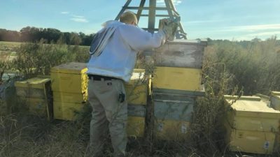 Fred Smith working bees