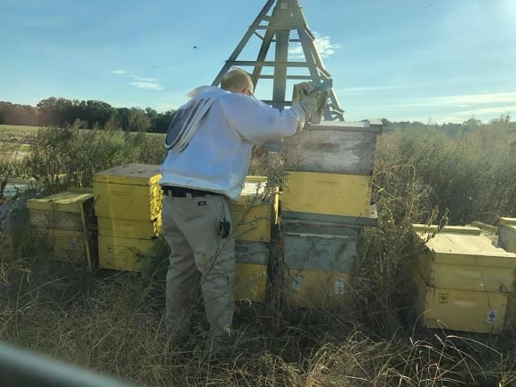 Fred Smith working bees