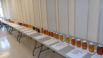 entries at MSBA honey show