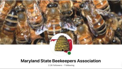 Banner of MSBA Facebook page