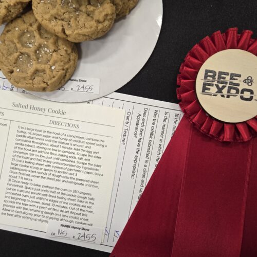 white recipe card with plate of cookies and red ribbon to the right of both card and cookie plate